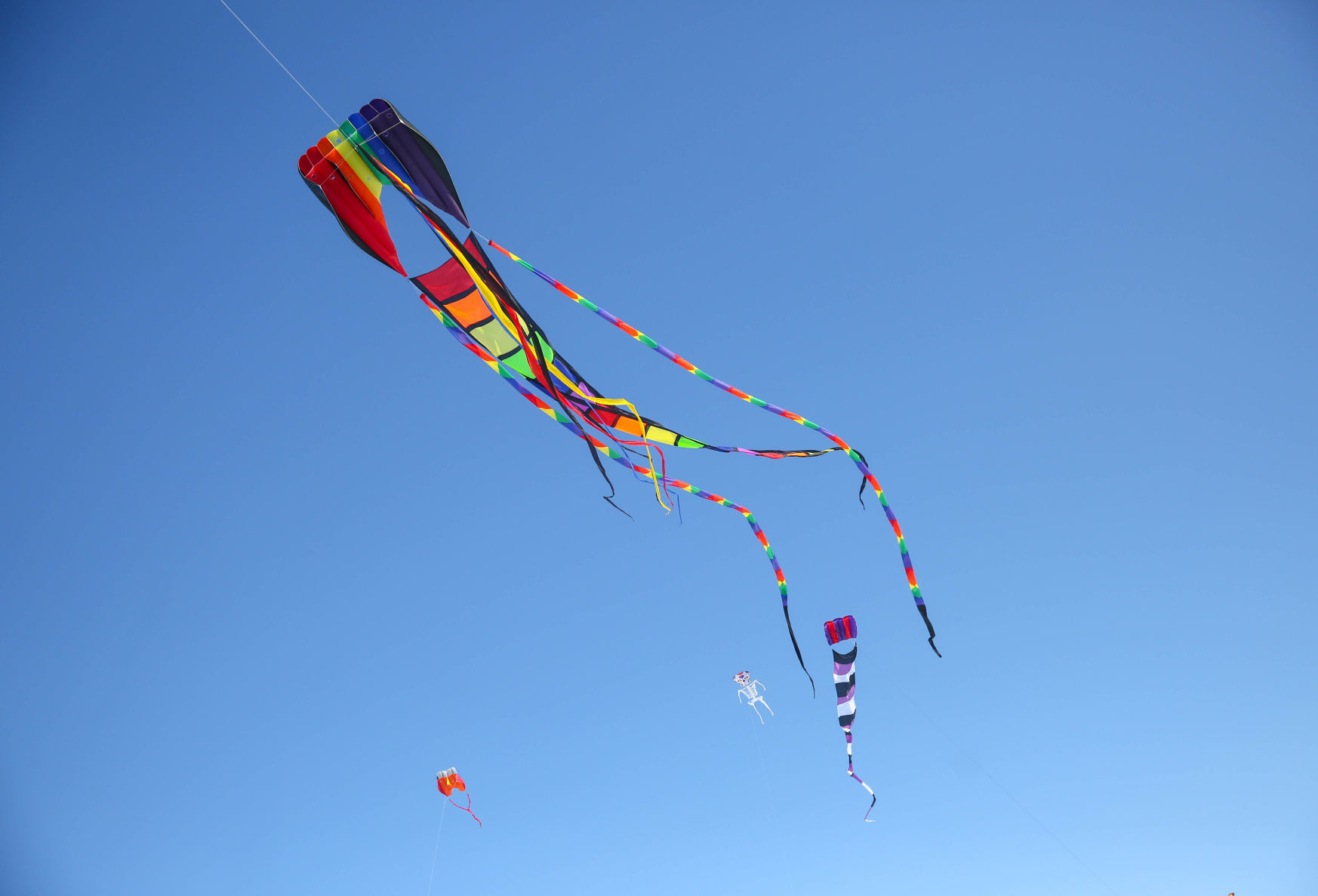 Color the Wind kite festival 02-15-2020 (53).jpg
